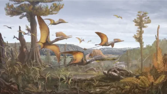 pterosaur